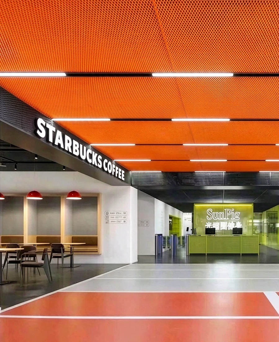 Applications of Expanded Metal Mesh Ceiling Applications of Expanded Metal Mesh Ceiling